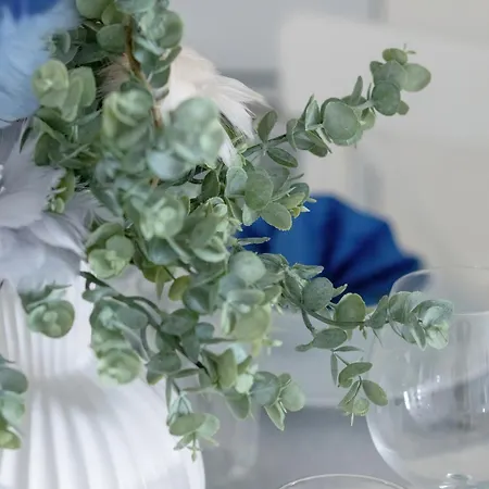 Baltini Premium Daire Kolobrzeg